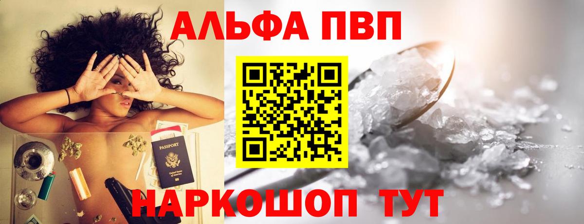 Alfa_PVP СК КРИС Петрозаводск
